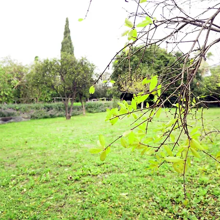 Bed & Breakfast Malvarosa 3*