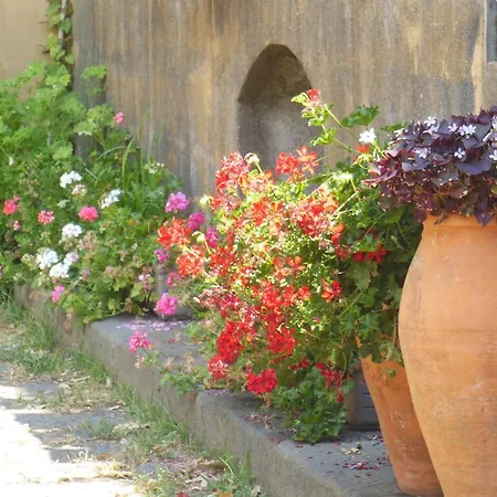 Malvarosa Giarre