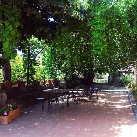 Bed & Breakfast Malvarosa 3*